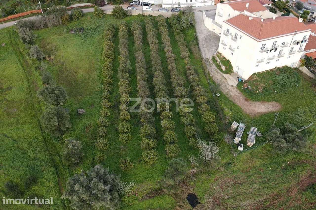 Terreno c/ 3.489m2 em Furadouro, São Bartolomeu de Messines - Grande imagem: 5/16