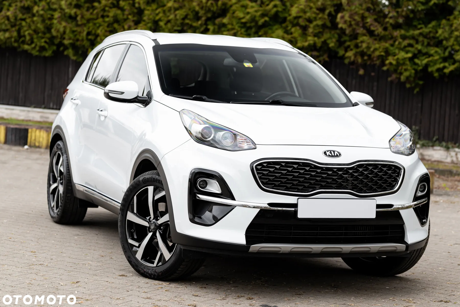 Kia Sportage 1.6 CRDI AWD Eco-Dynamics+ (48V M-H) DCT Vision - 5