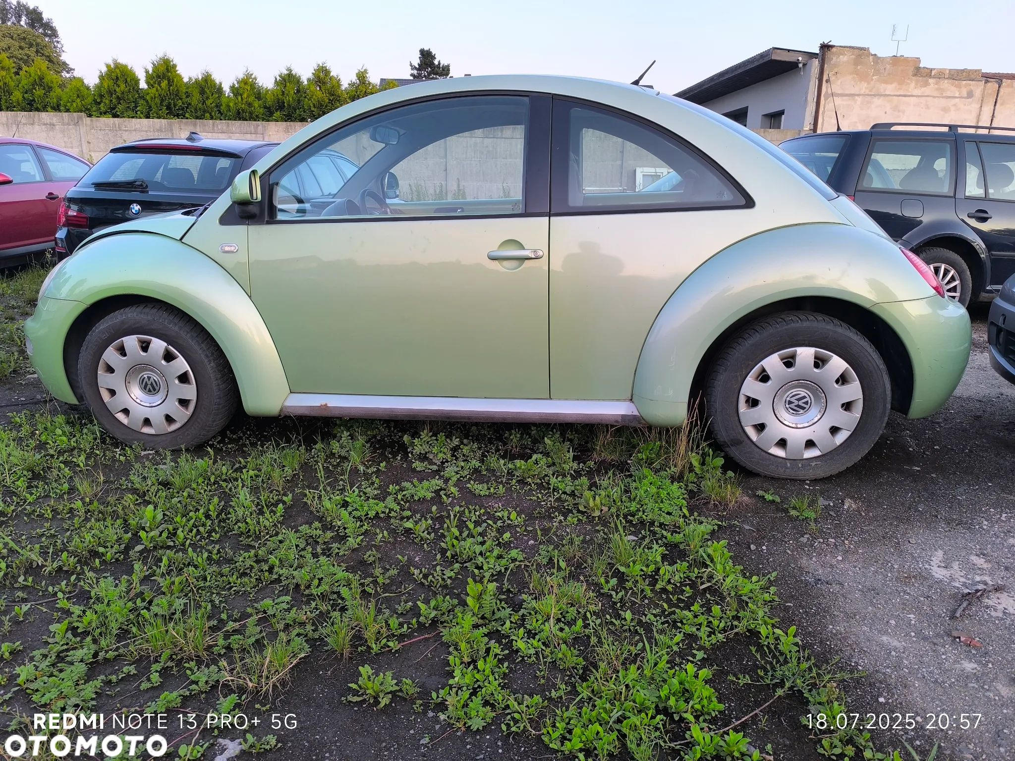 Volkswagen Garbus - 1