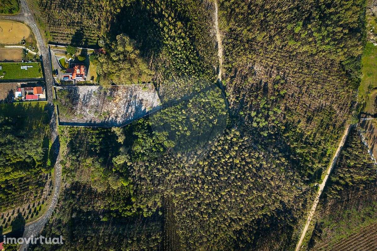 Terreno  para venda - Grande imagem: 2/19