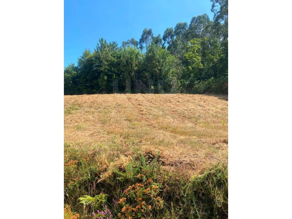Terreno para construção - Ganfei, Valença - Grande imagem: 2/8
