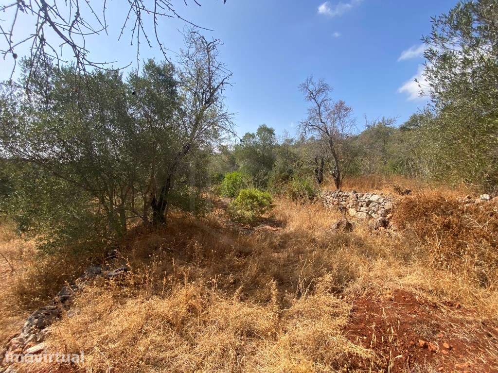 Lote de Terreno Rústico no Serro dos Passarinhos, Loulé, Algarve - Grande imagem: 2/11