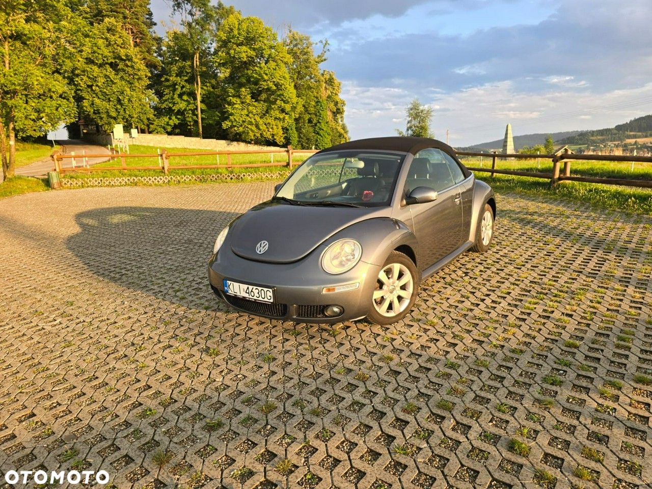 Volkswagen New Beetle - 20