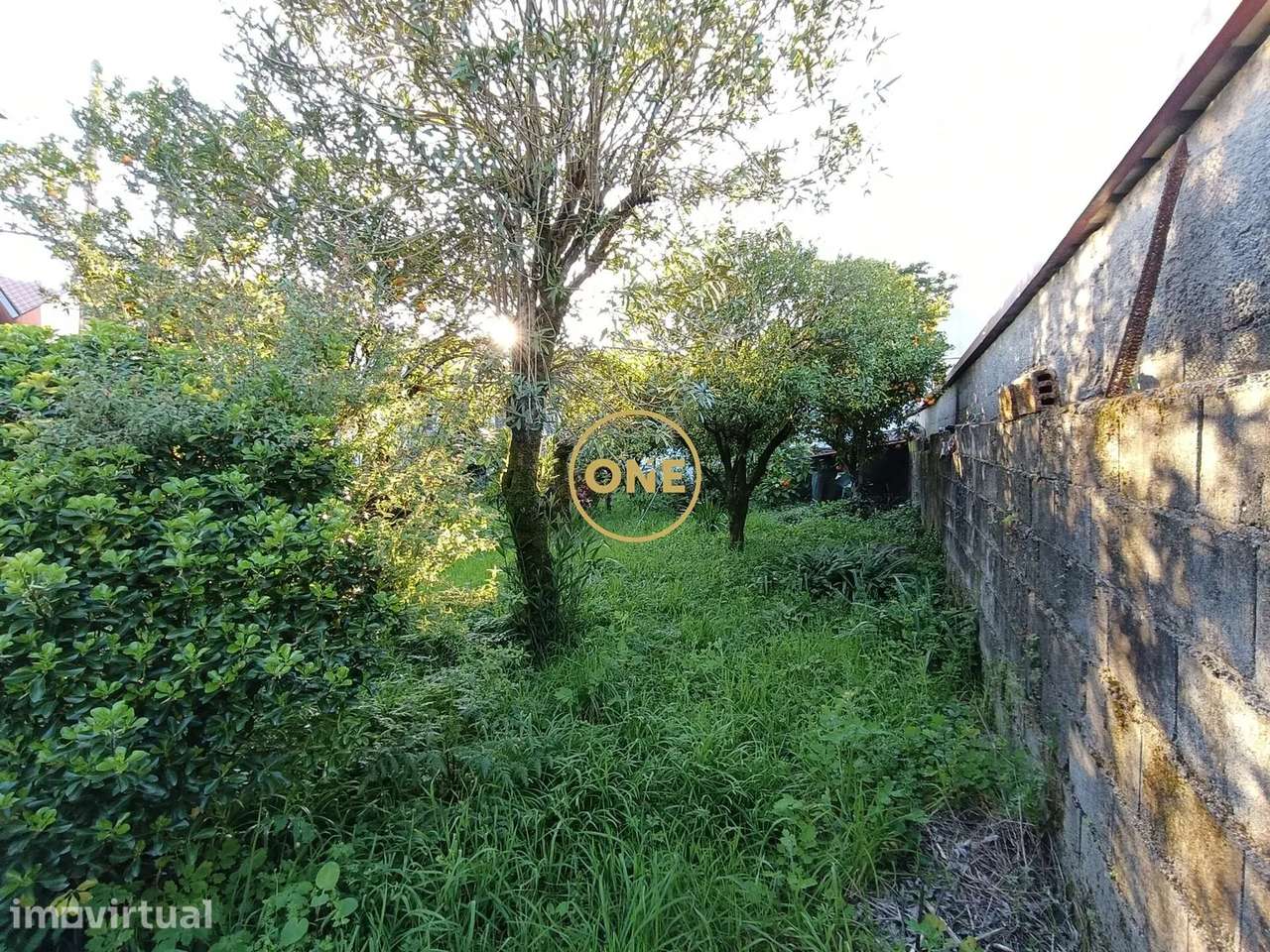 Centro de Terras de Bouro: Habitar, Rentabilizar ou Investir - Grande imagem: 5/30