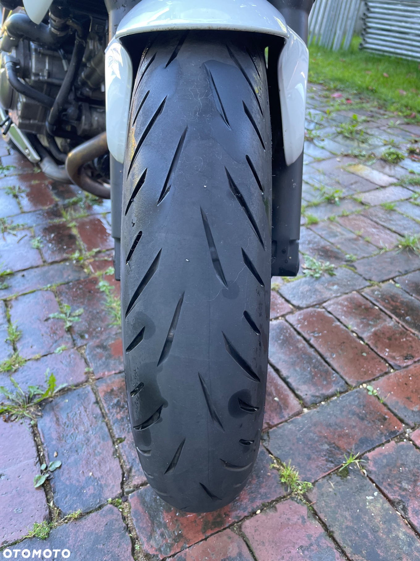 Suzuki Gladius - 8