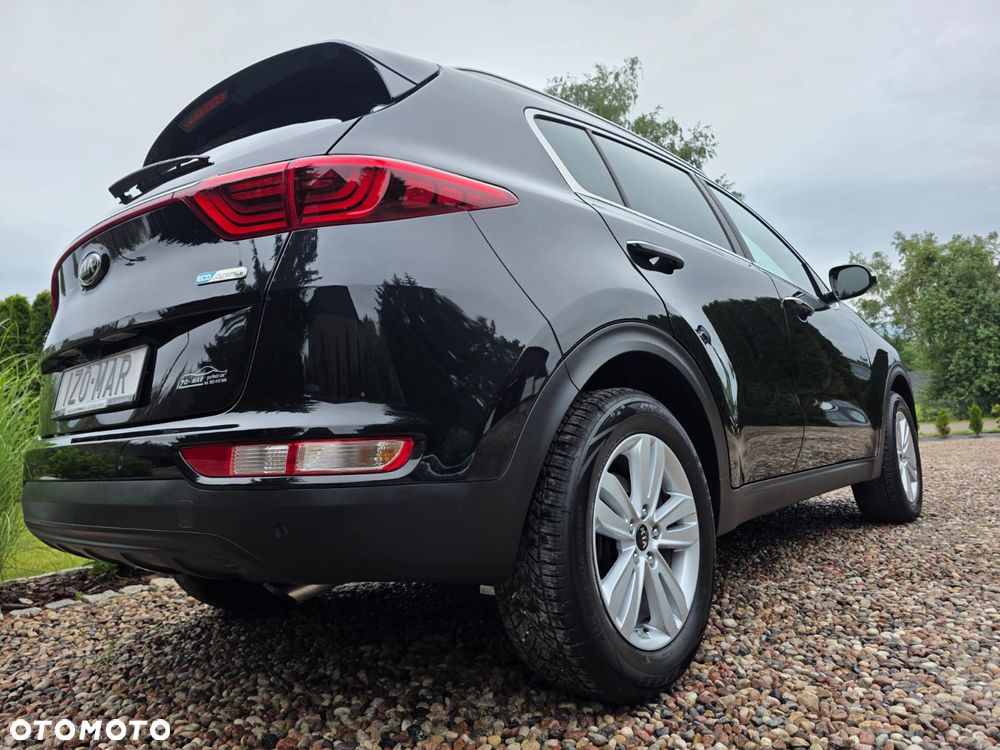 Kia Sportage 1.6 GDI 2WD Black Edition - 19