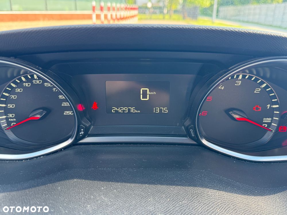 Peugeot 308 1.6 BlueHDi Active S&S - 17