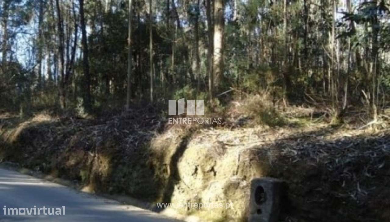 Venda de Terreno, Laúndos, Póvoa de Varzim - Grande imagem: 2/2