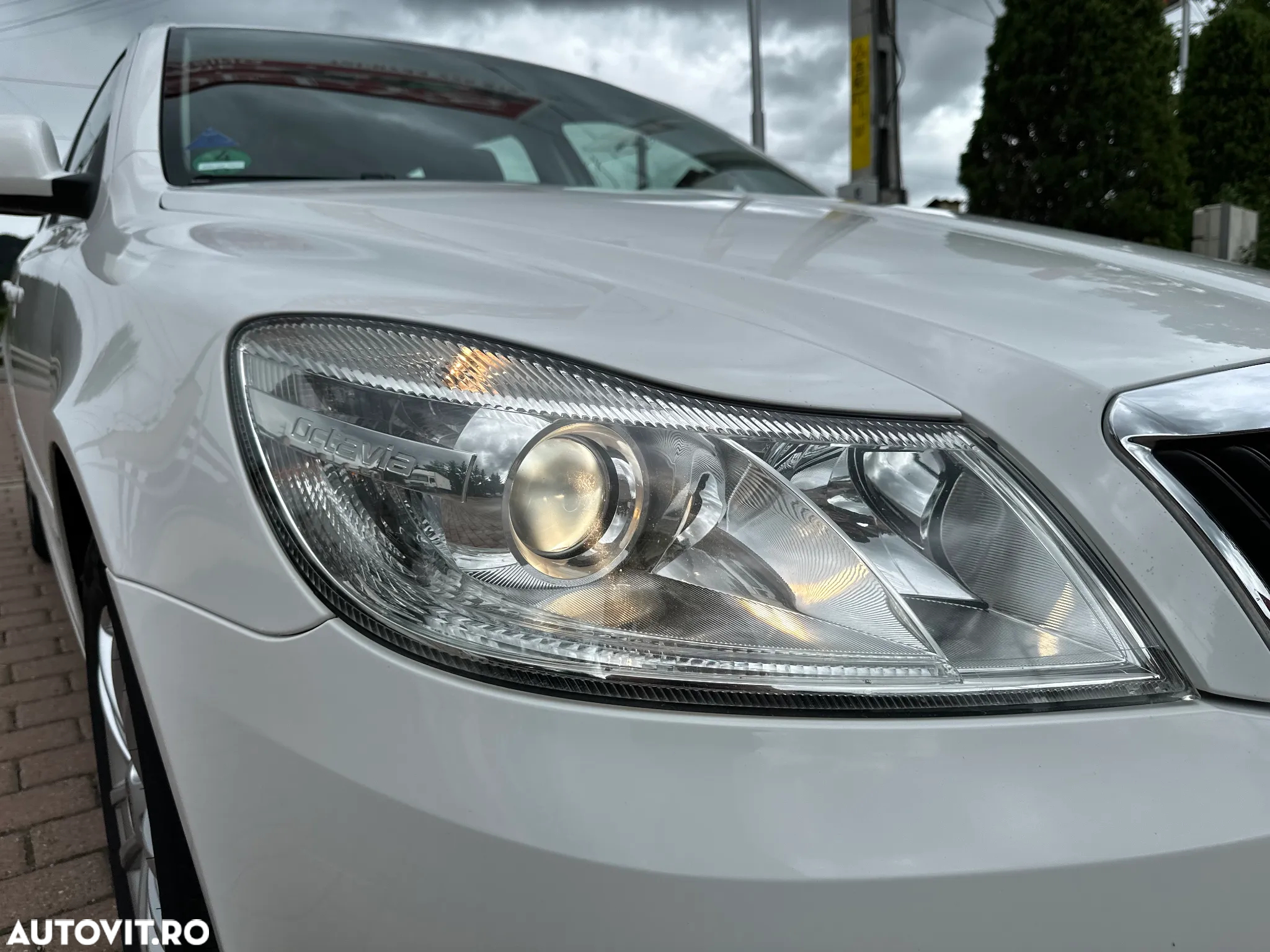 Skoda Octavia Combi 1.6 TDI DPF GreenLine - 21