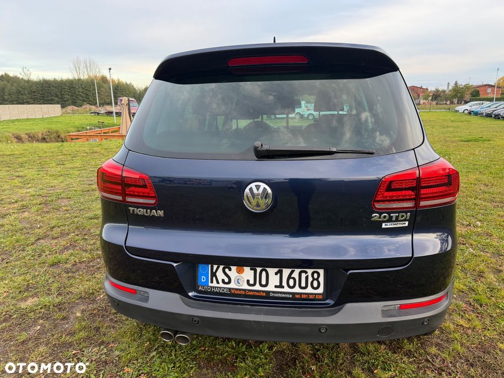 Volkswagen Tiguan - 6