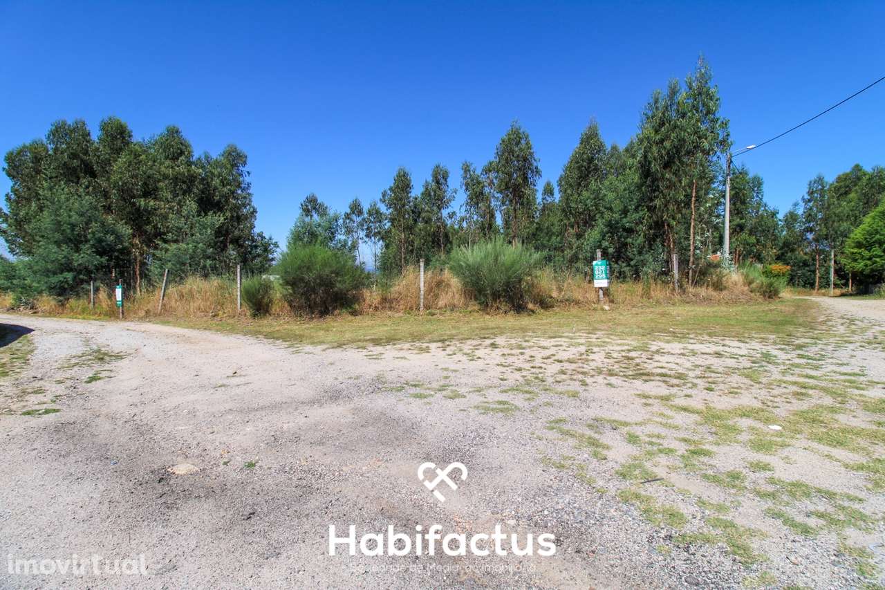 A apenas 5 minutos do centro de Tondela - Grande imagem: 2/27