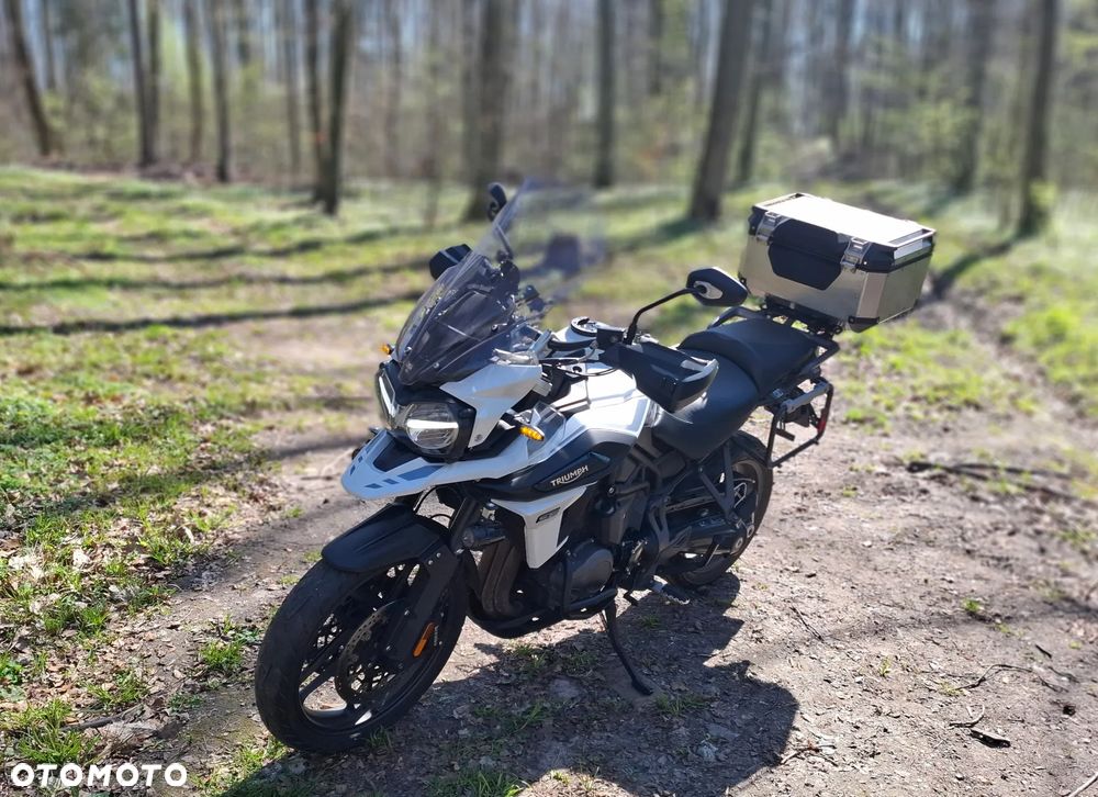 Triumph Tiger - 1