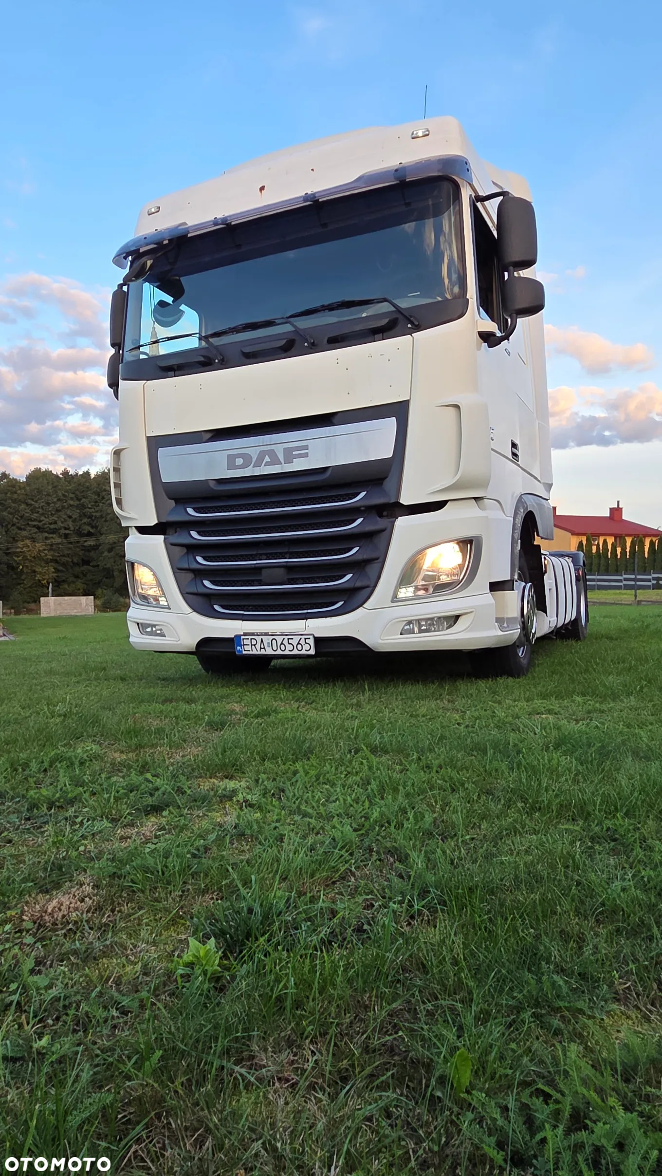DAF XF 460 FT - 19