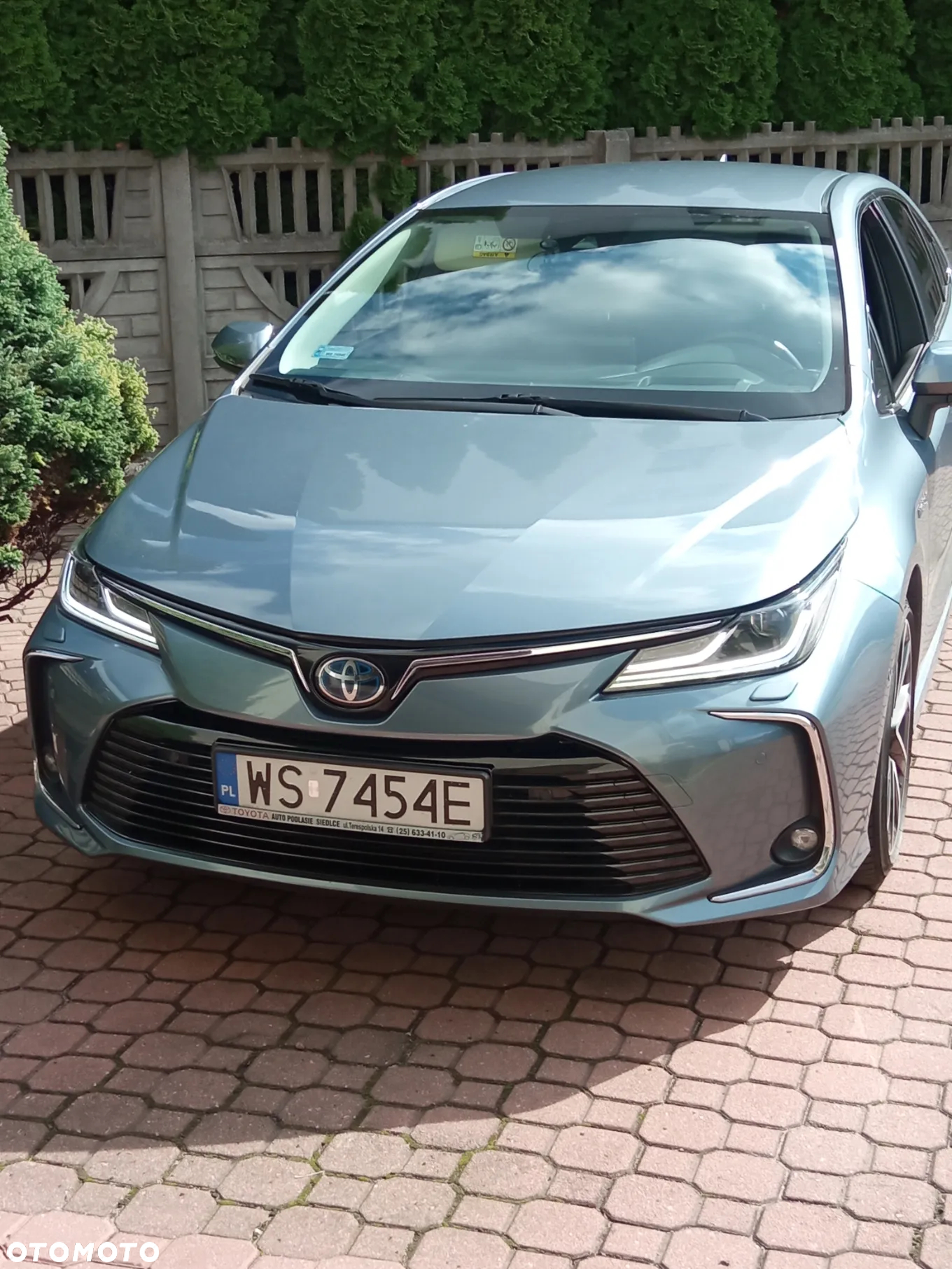 Toyota Corolla 1.8 Hybrid Executive - 5