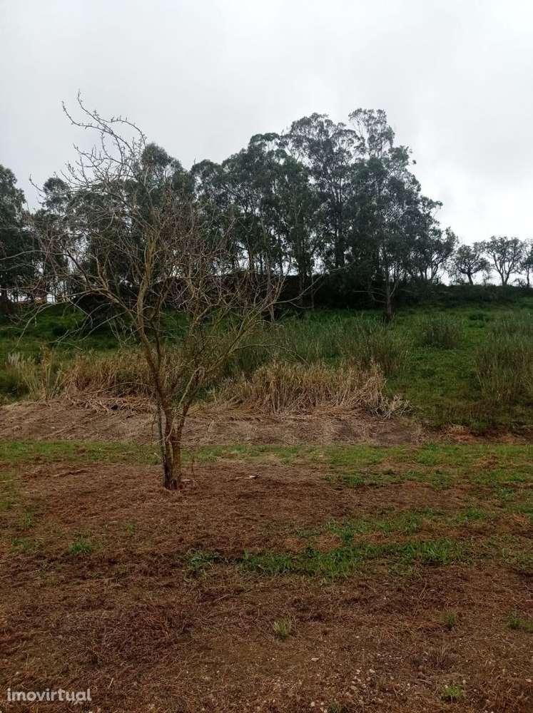 Terreno à venda em Quinta do Fez - Grande imagem: 2/7
