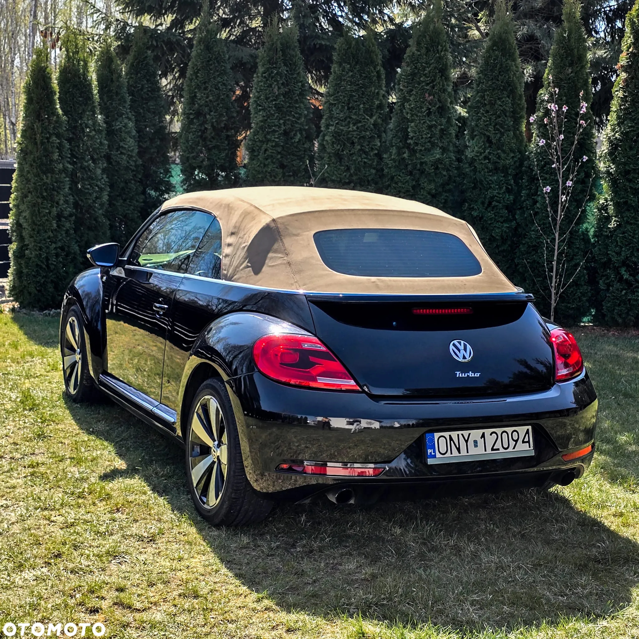 Volkswagen Beetle 2.0 TSI Sport DSG - 7