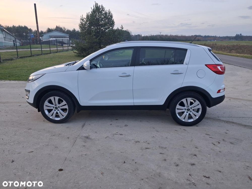 Kia Sportage - 14