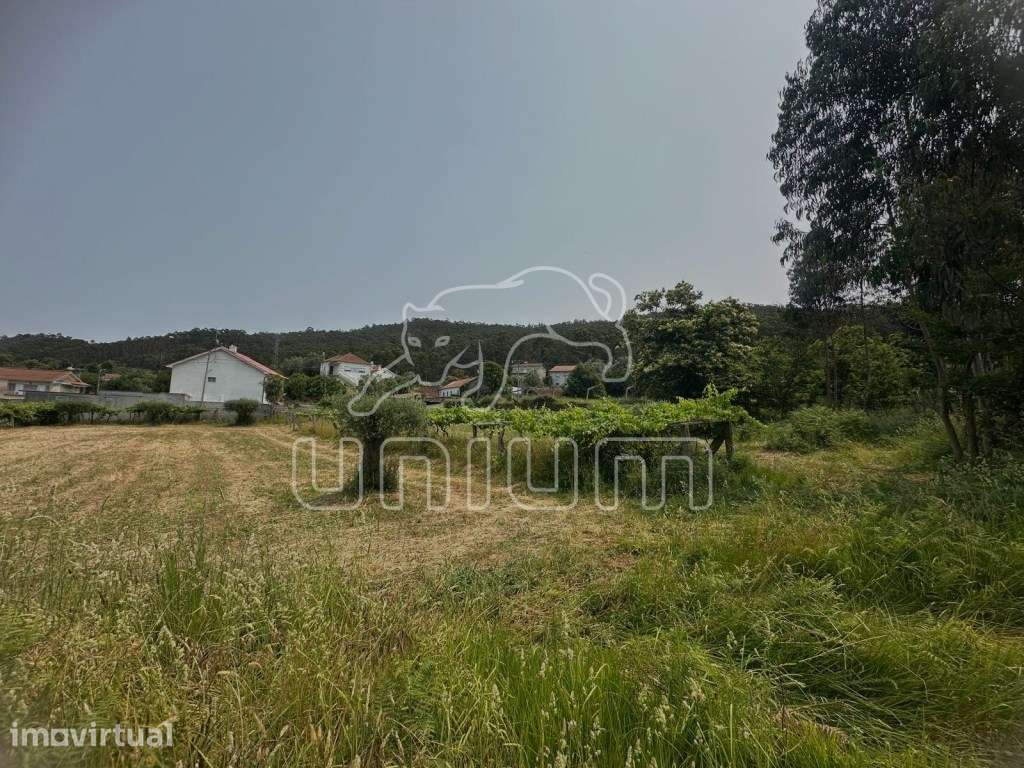Terreno Agrícola - Vila Franca - Grande imagem: 2/5