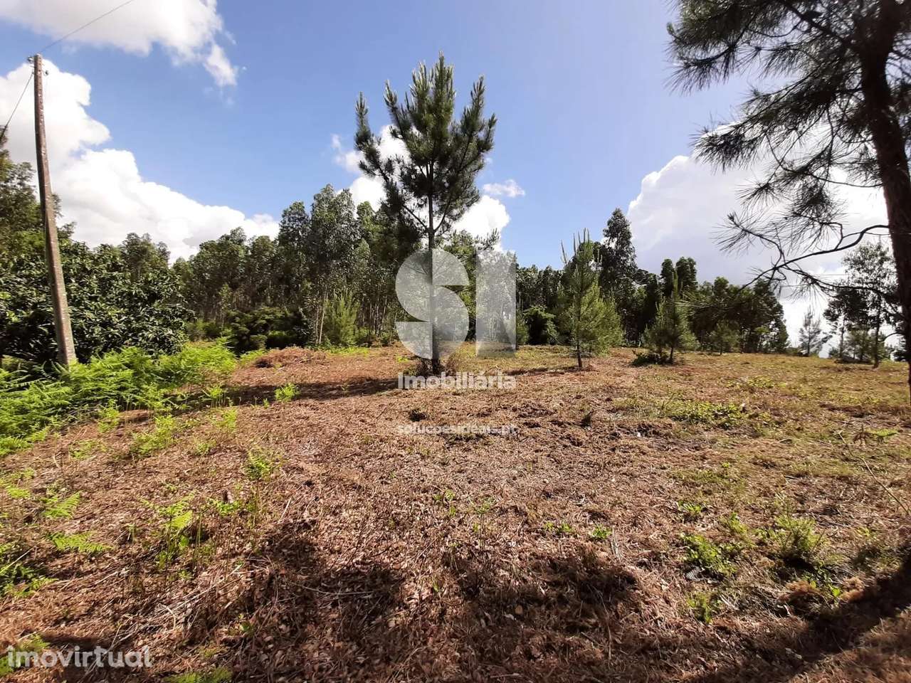 Terreno em Mealhada - Grande imagem: 5/5