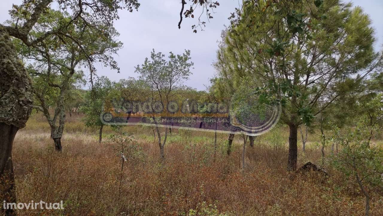 Terreno em Mora (MOR013) - Grande imagem: 5/8