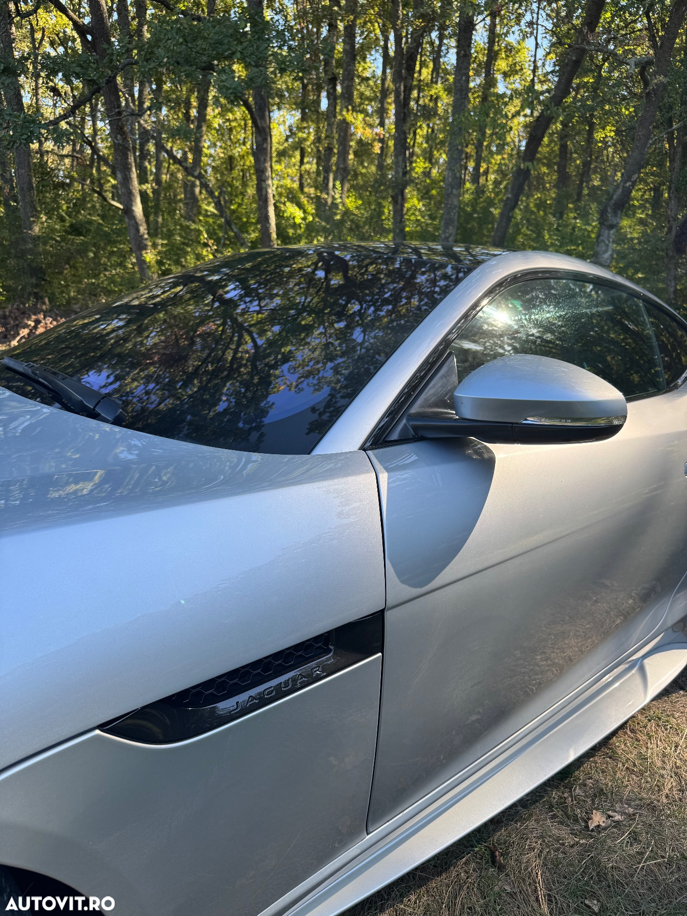 Jaguar F-Type - 9