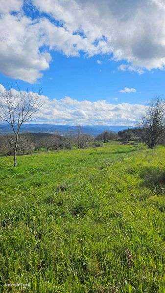 Terreno Frechão 2.2ha - Grande imagem: 3/12