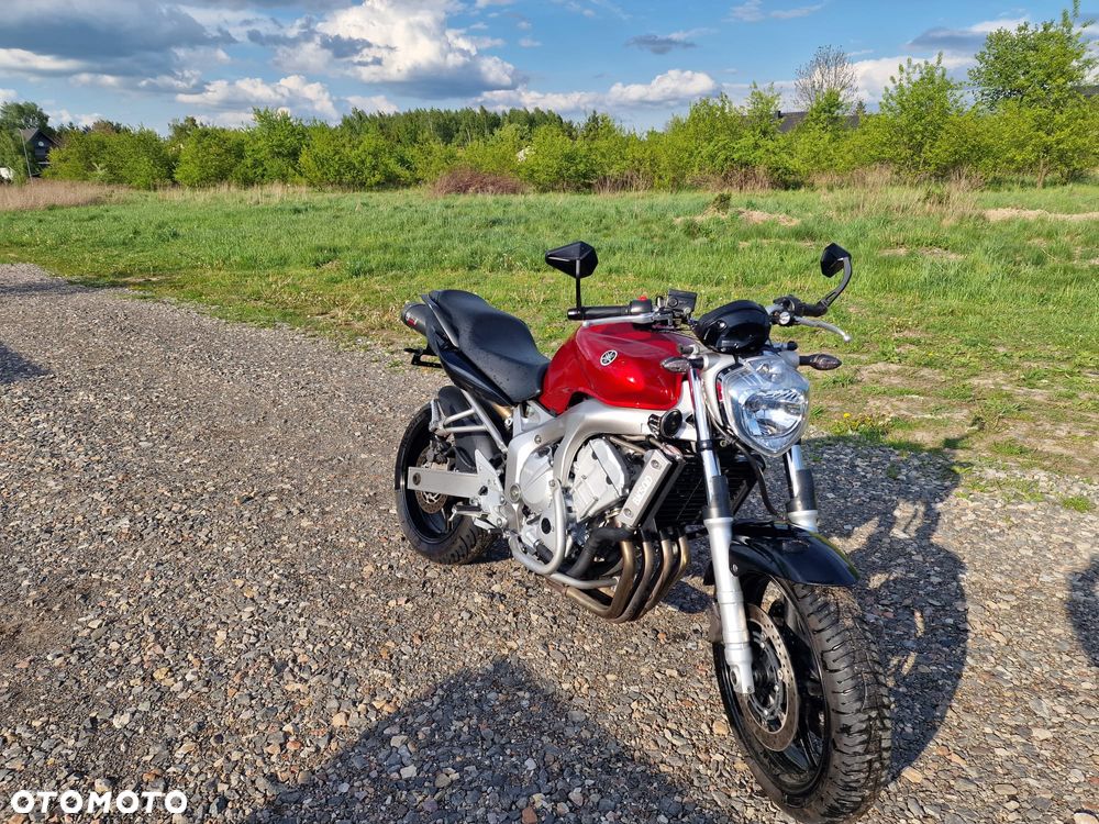 Yamaha FZ6 - 5