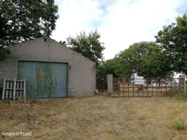 Terreno Urbano 1600 m2 - Freguesia da Pena - Vila Real - Grande imagem: 4/6