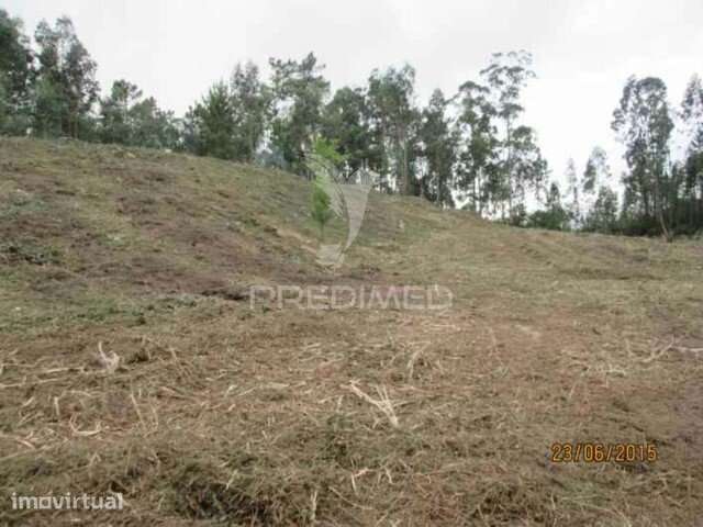 Terreno - Grande imagem: 5/7