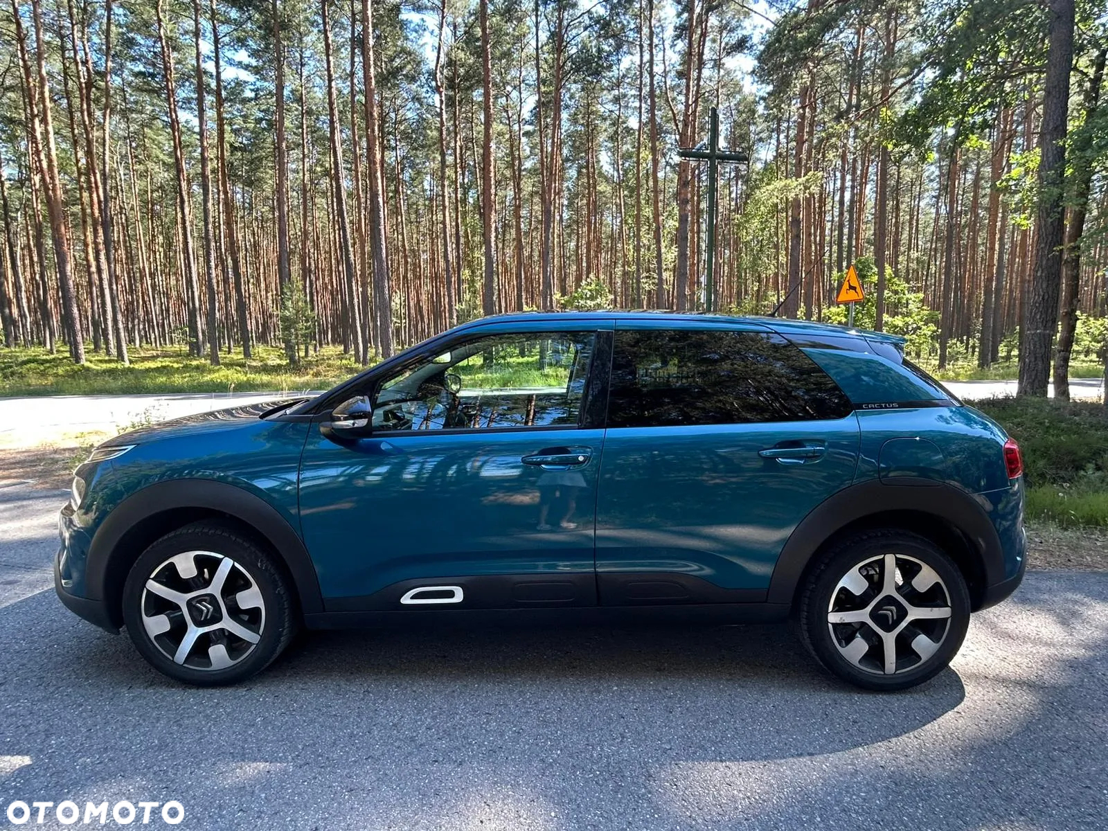 Citroën C4 Cactus 1.2 PureTech GPF Shine S&S - 3