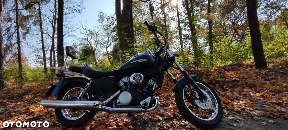 Honda Shadow - 15