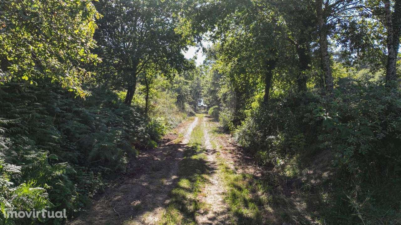 Quinta  para venda - Grande imagem: 4/48