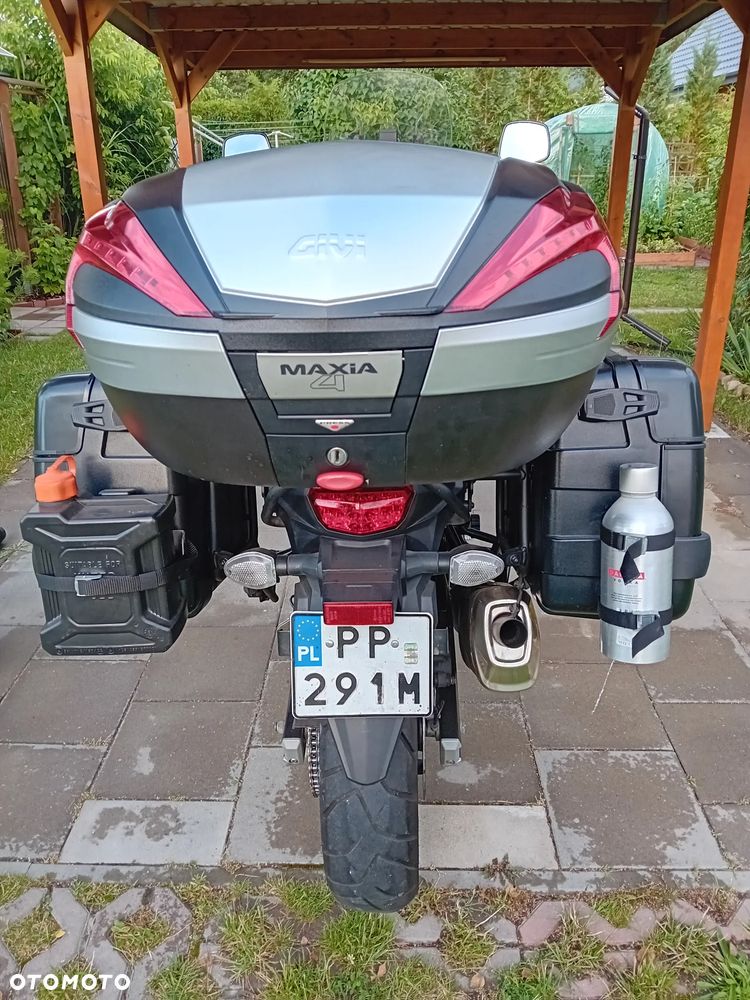 Suzuki DL - 11