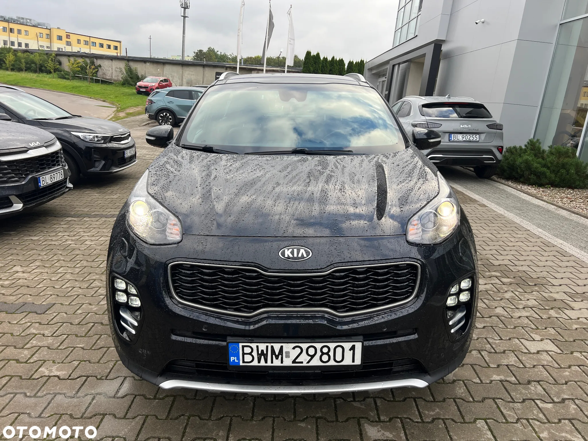 Kia Sportage 1.6 T-GDI GT Line 4WD DCT - 26