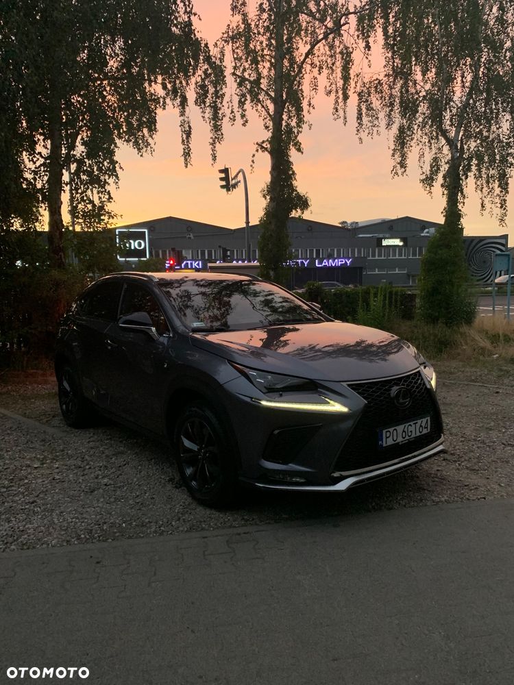 Lexus NX 300 F Sport AWD - 6