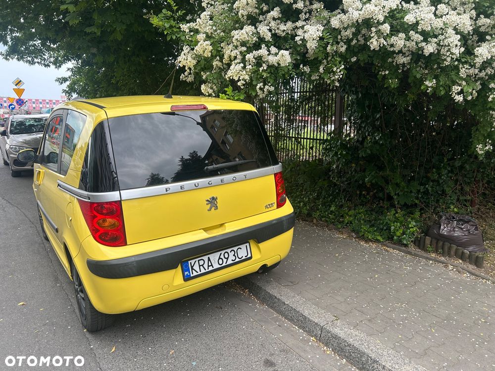Peugeot 1007 2005 photo 4