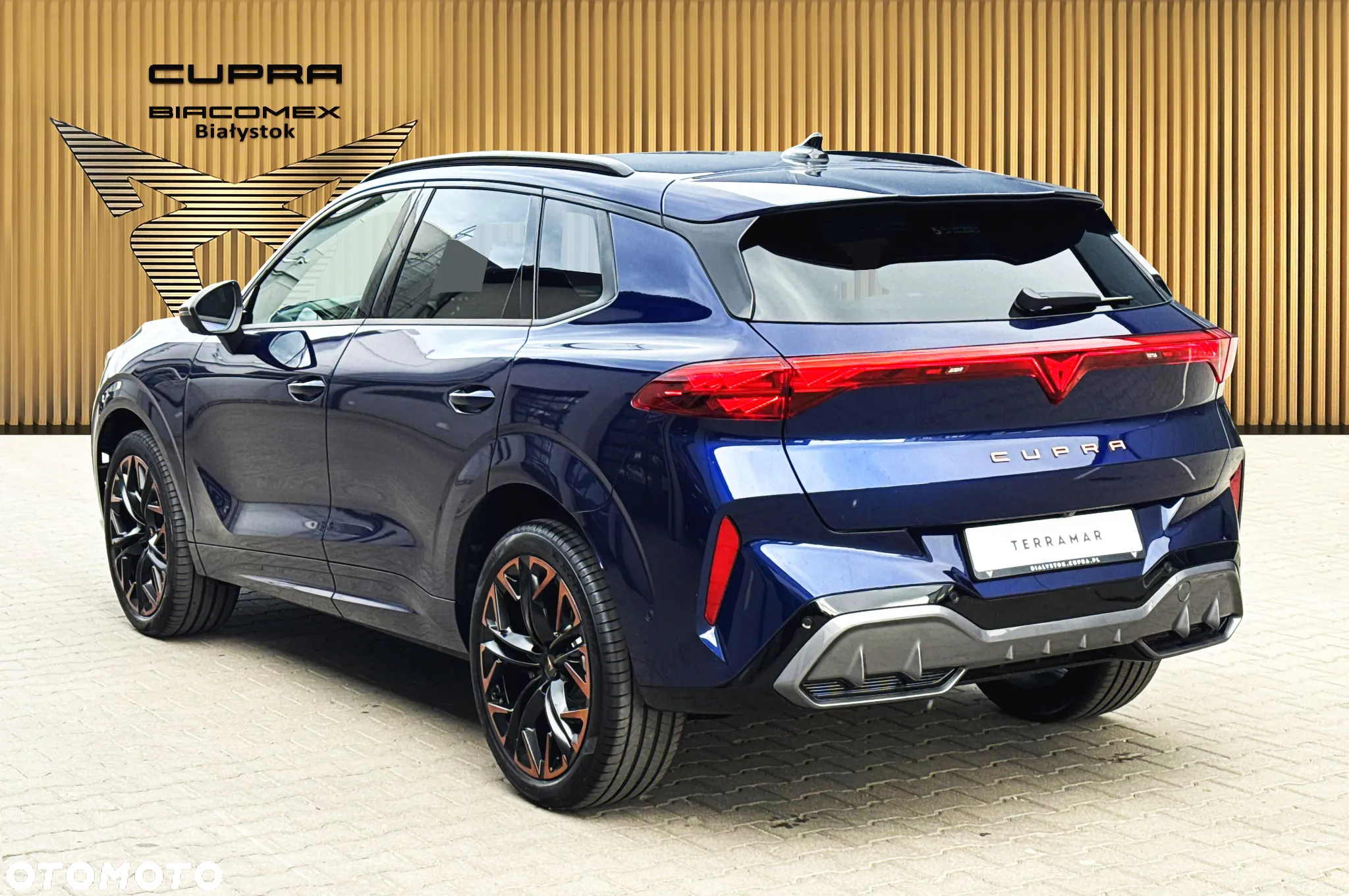 Cupra Terramar 2.0 TSI 4Drive DSG - 4