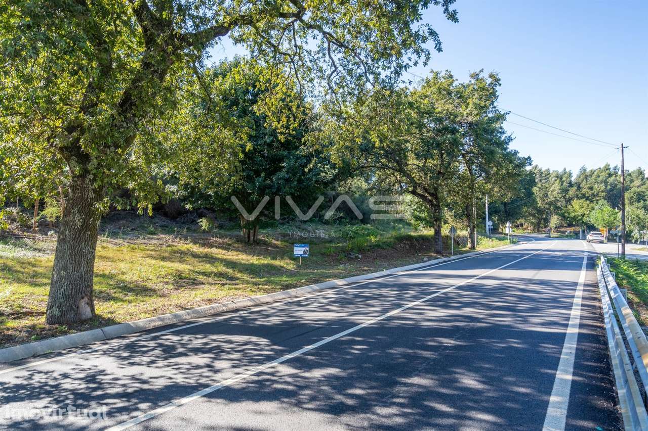 Terreno Rústico  Venda em Pico,Vila Verde - Grande imagem: 2/21