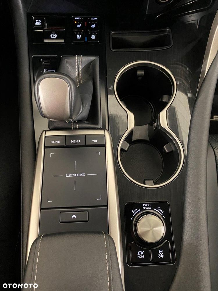 Lexus RX - 19