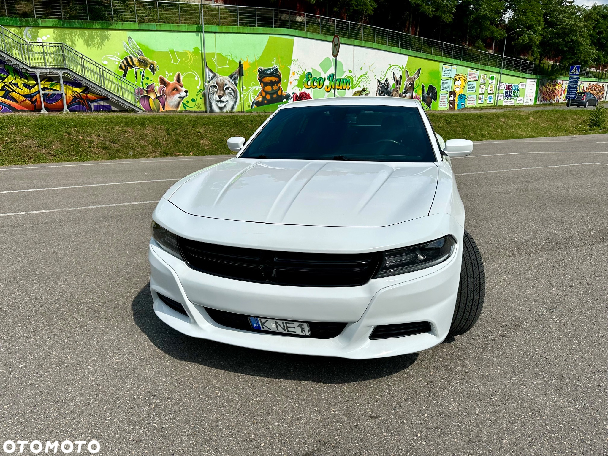 Dodge Charger - 3