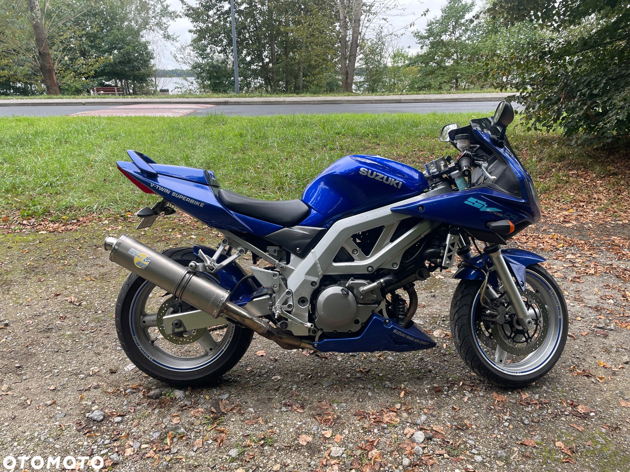 Suzuki SV - 6