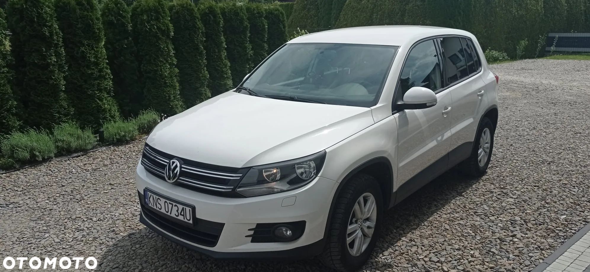 Volkswagen Tiguan 2.0 TSI 4Motion Automatik Trend & Fun - 1