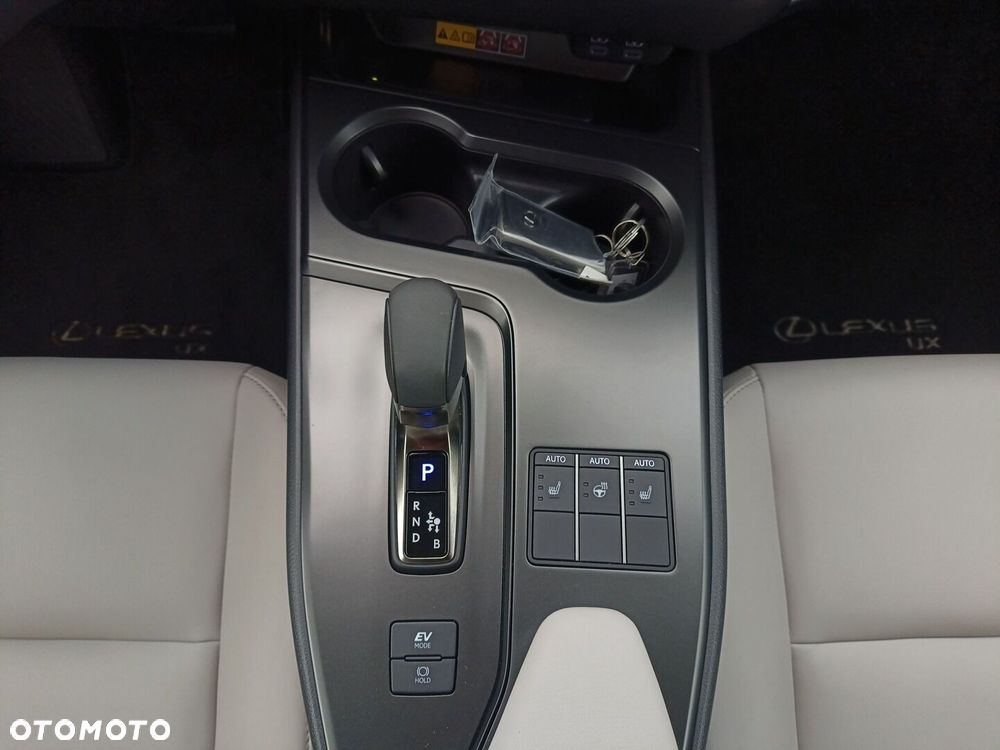 Lexus UX 300h F Sport Design - 23