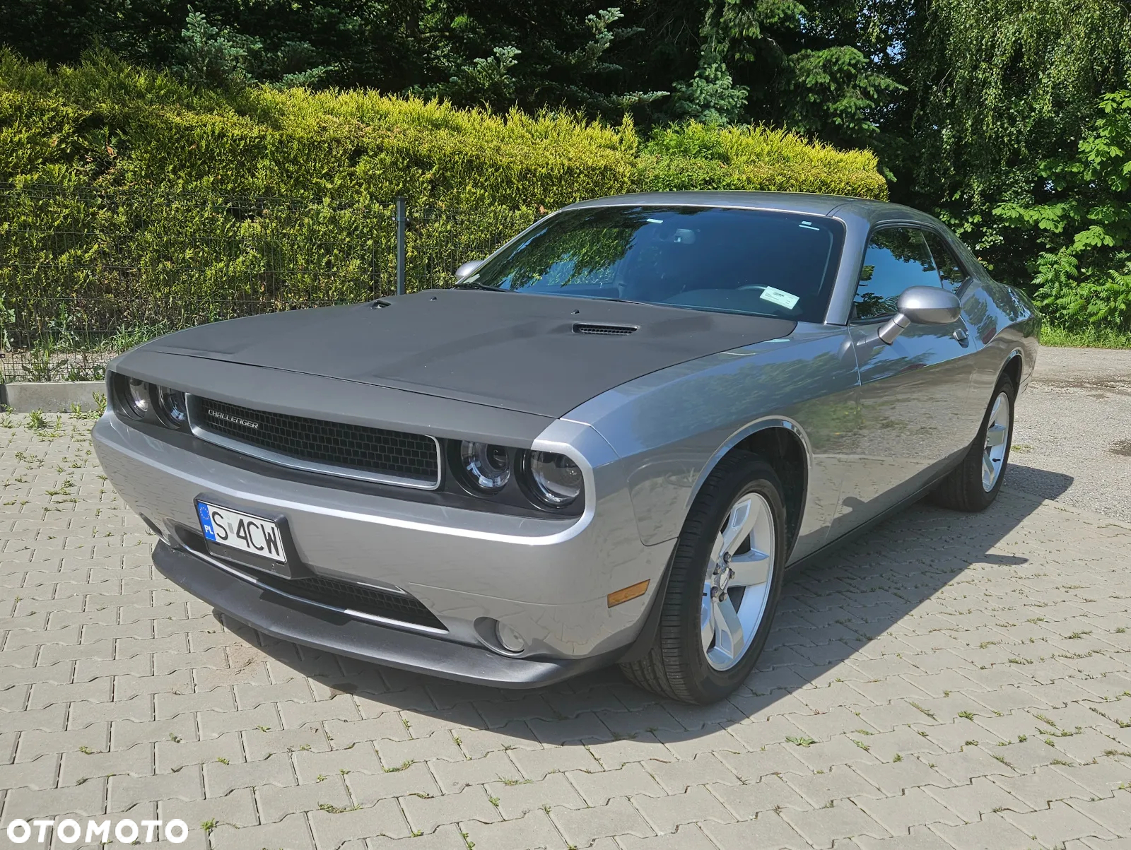 Dodge Challenger Automatik SXT Plus - 8