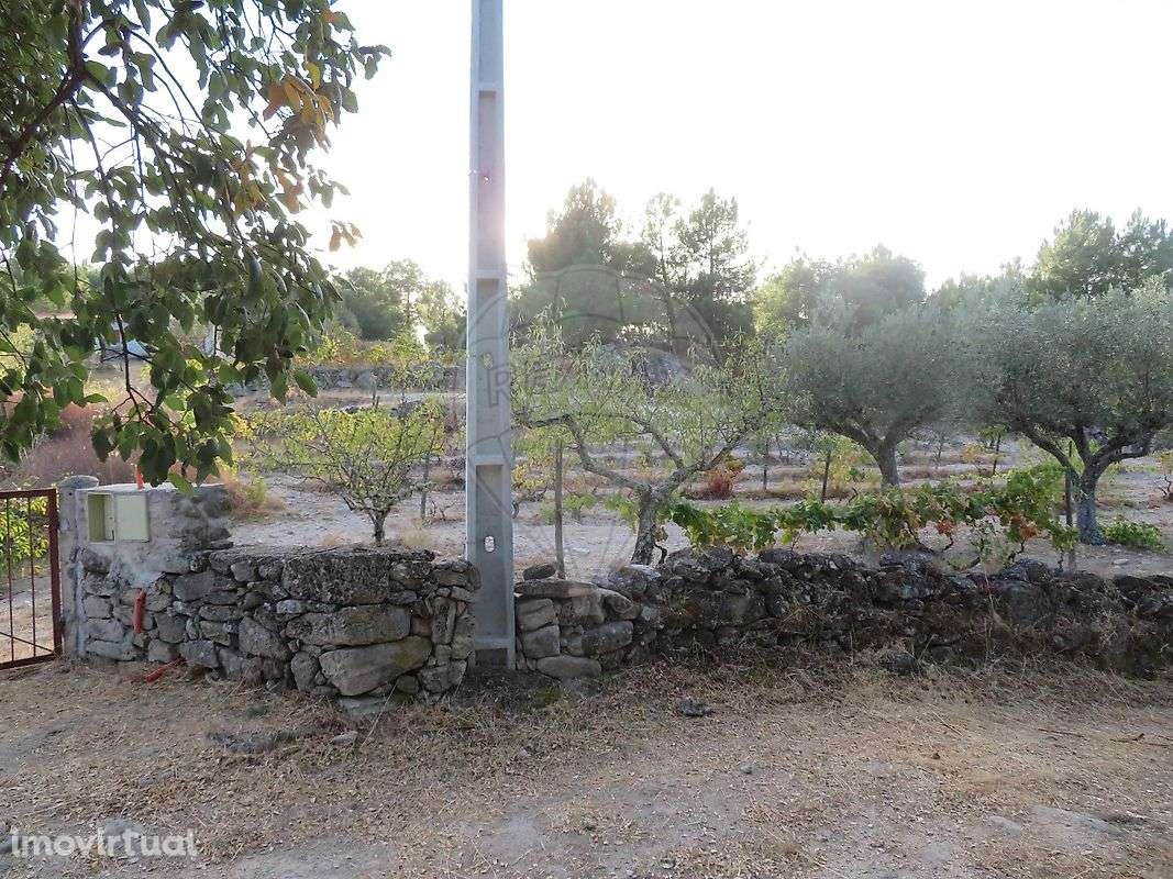 Terreno  para venda - Grande imagem: 2/19