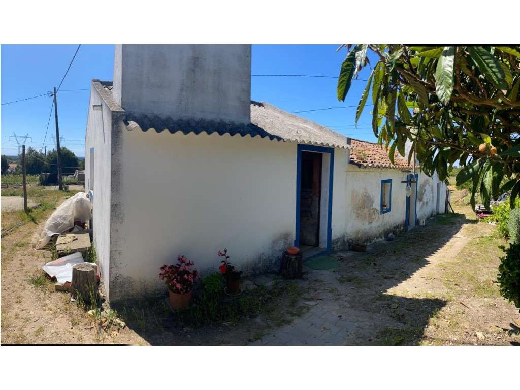 Quinta com vista Mar em Santiago do Cacém - Grande imagem: 4/32