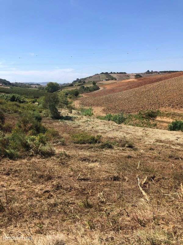 Terreno  para venda - Grande imagem: 5/13