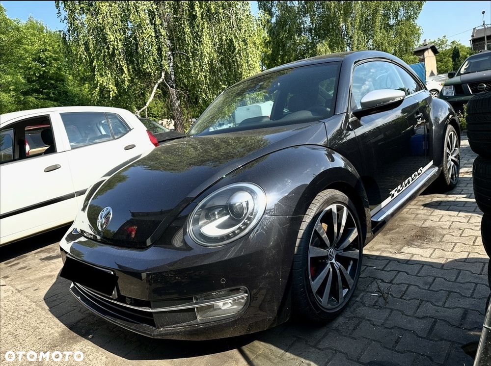 Volkswagen Beetle - 6