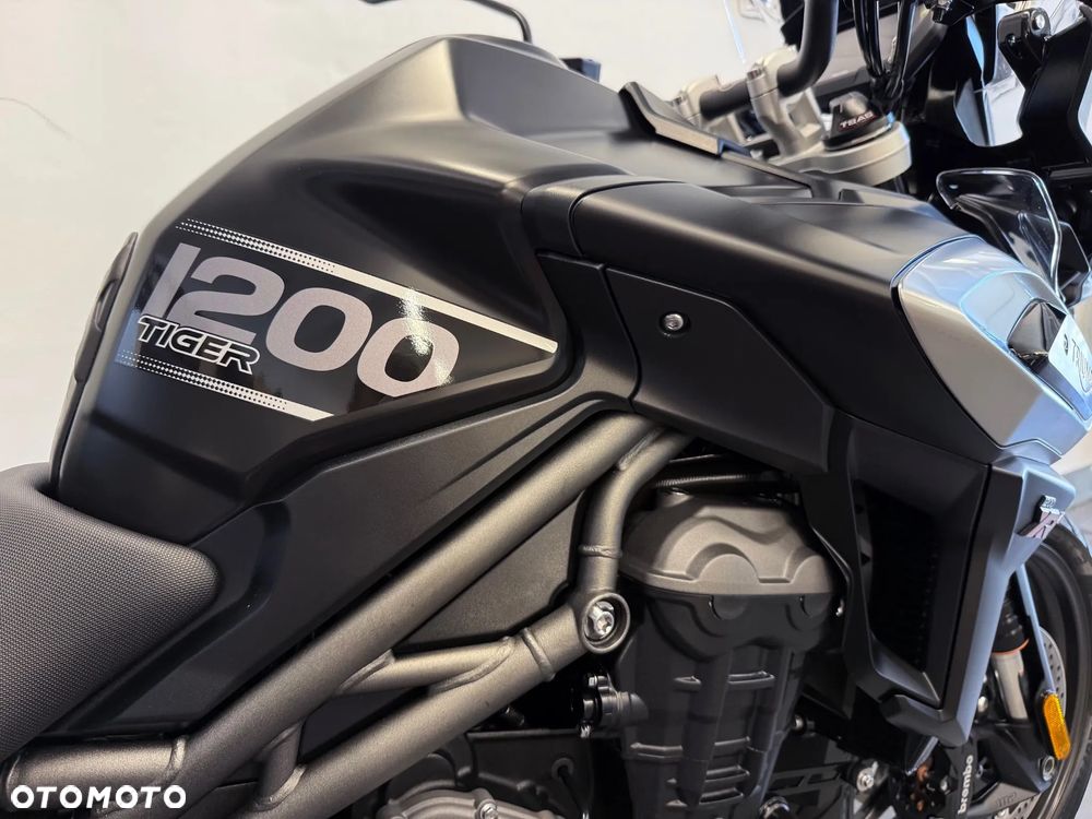 Triumph Tiger - 31