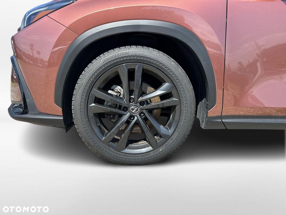 Lexus NX - 20
